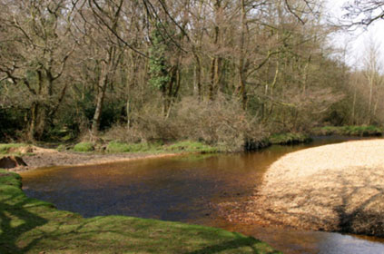 River Avon